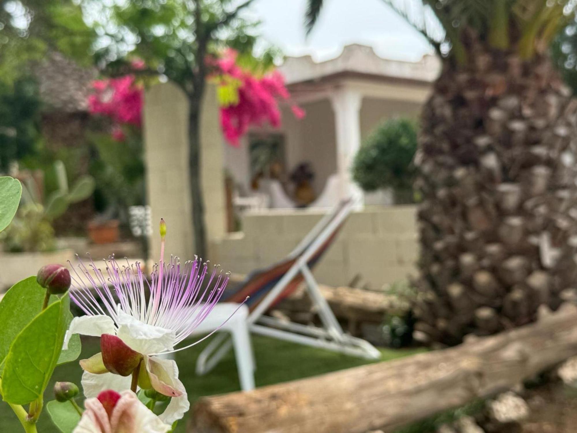 Villa Torretta - Mare Salento Marina di Lizzano Buitenkant foto