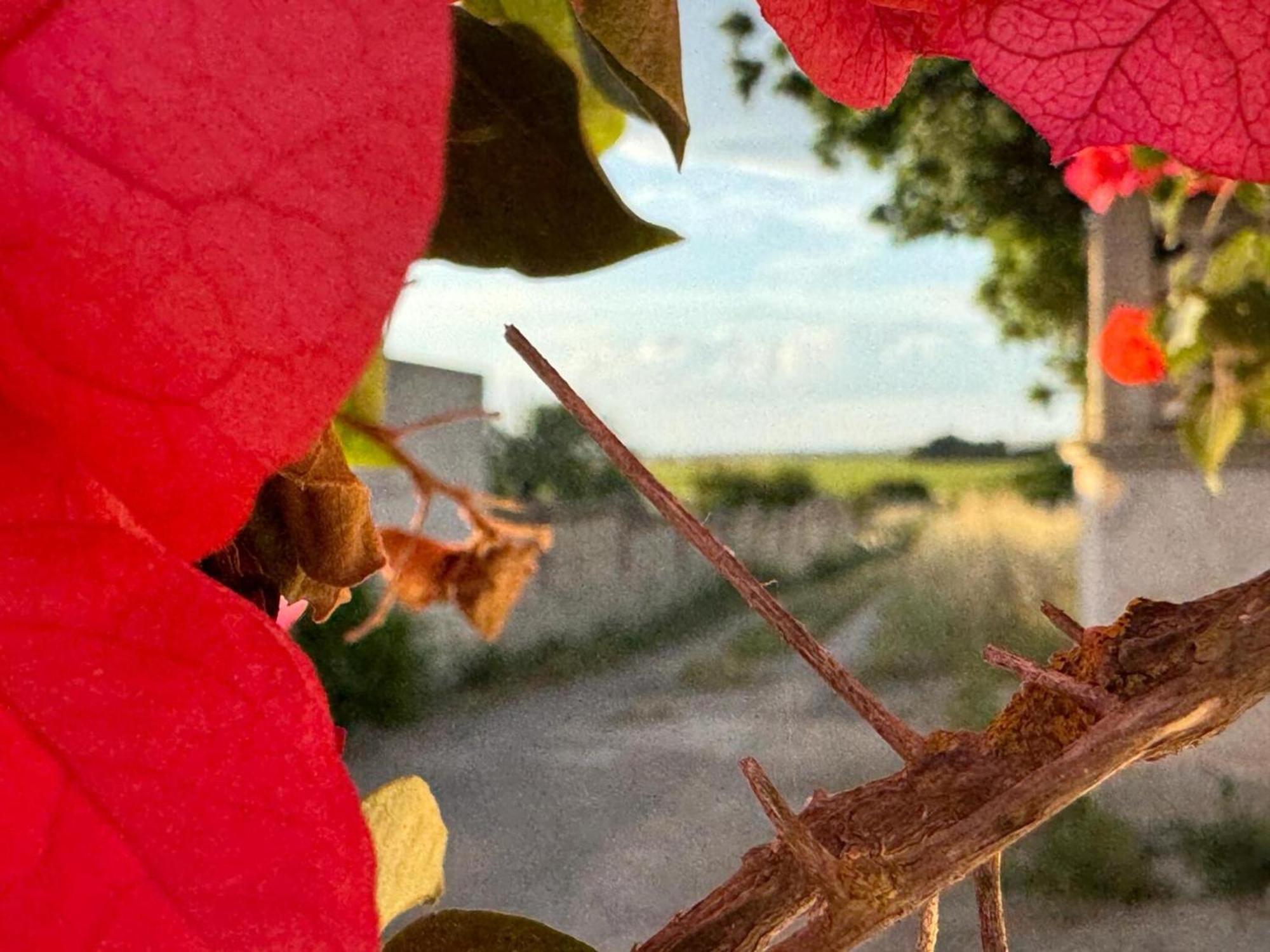 Villa Torretta - Mare Salento Marina di Lizzano Buitenkant foto