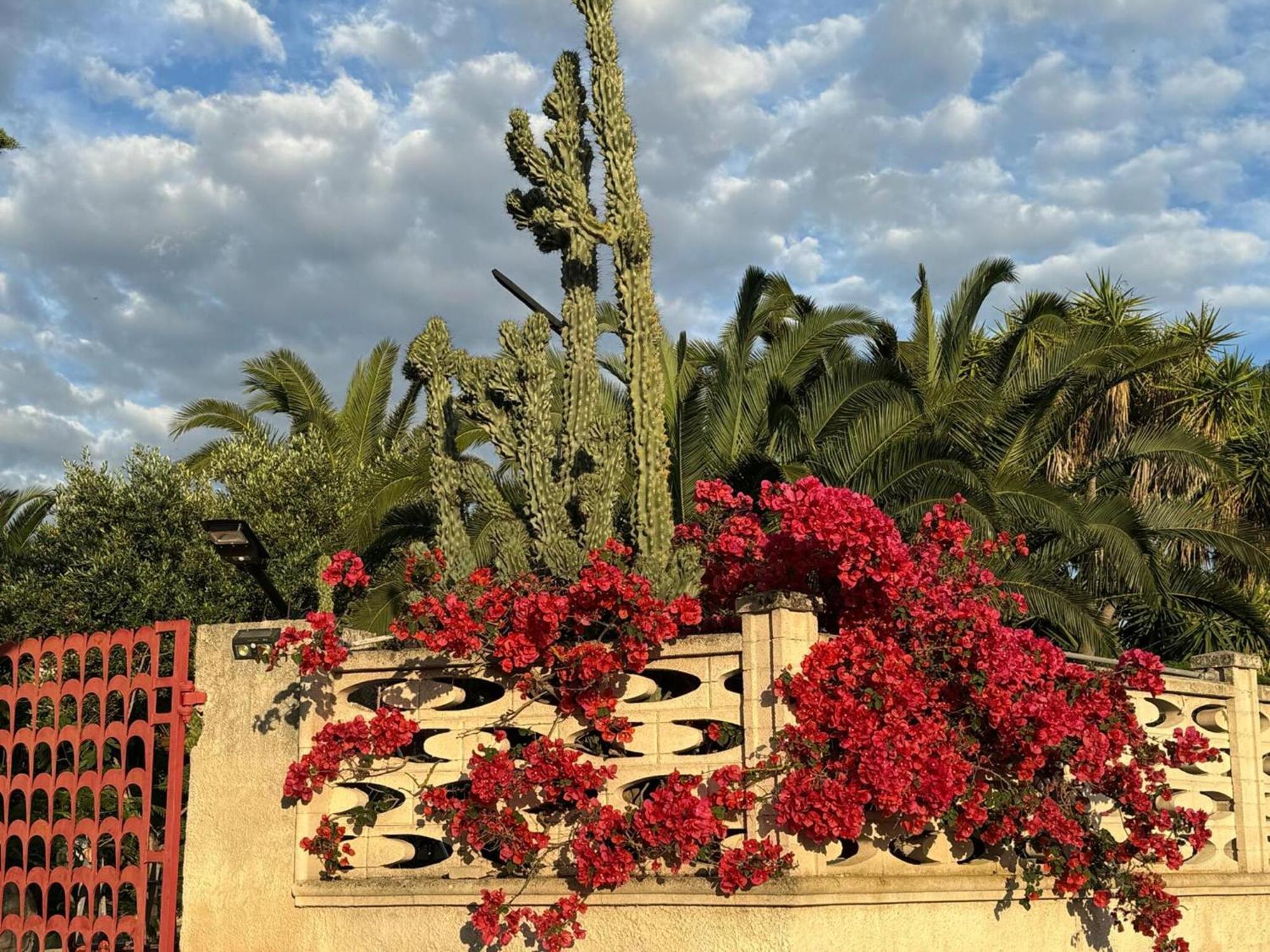 Villa Torretta - Mare Salento Marina di Lizzano Buitenkant foto