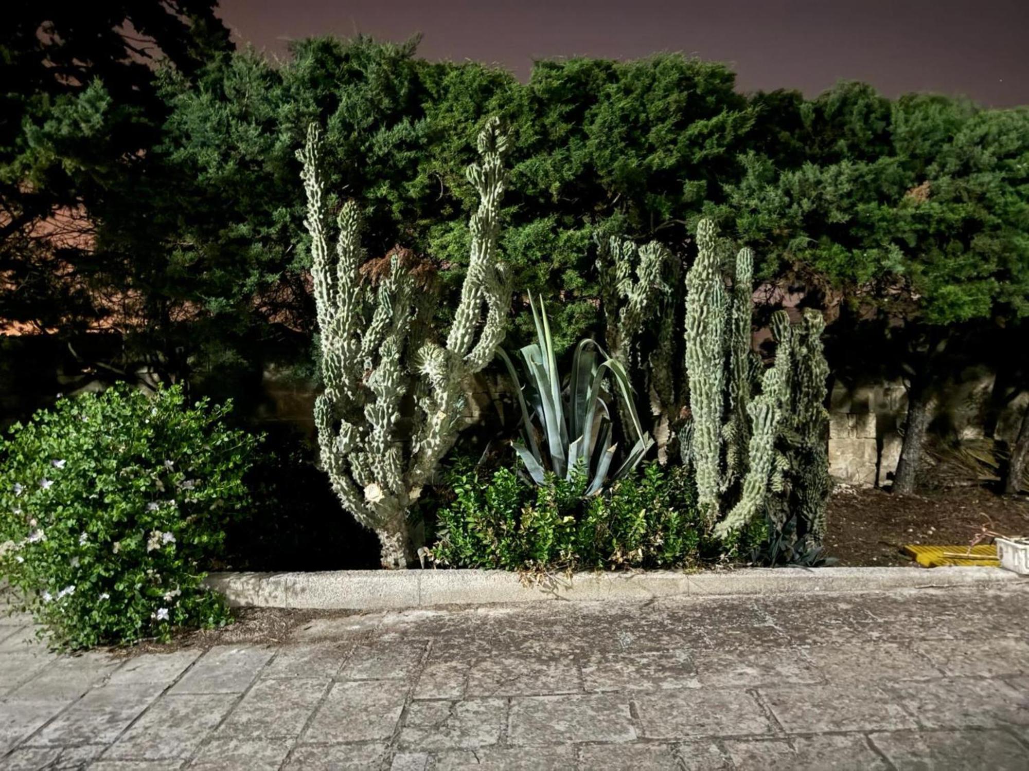 Villa Torretta - Mare Salento Marina di Lizzano Buitenkant foto