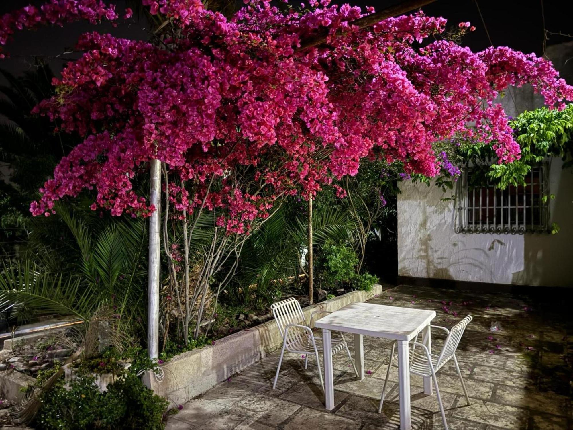 Villa Torretta - Mare Salento Marina di Lizzano Buitenkant foto