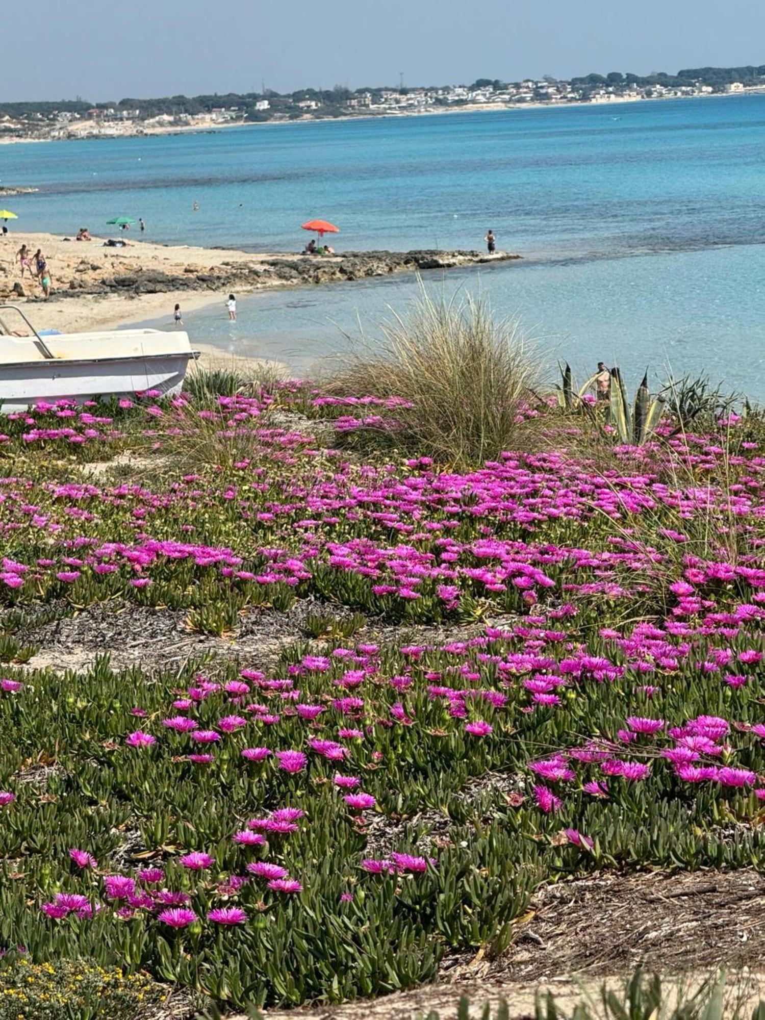 Villa Torretta - Mare Salento Marina di Lizzano Buitenkant foto